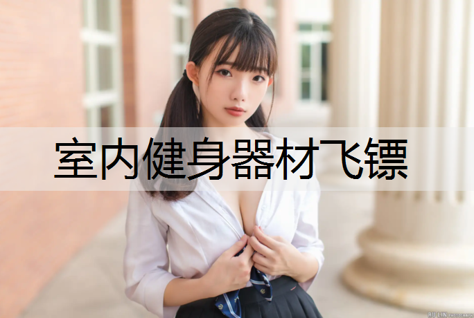 室内健身器材飞镖