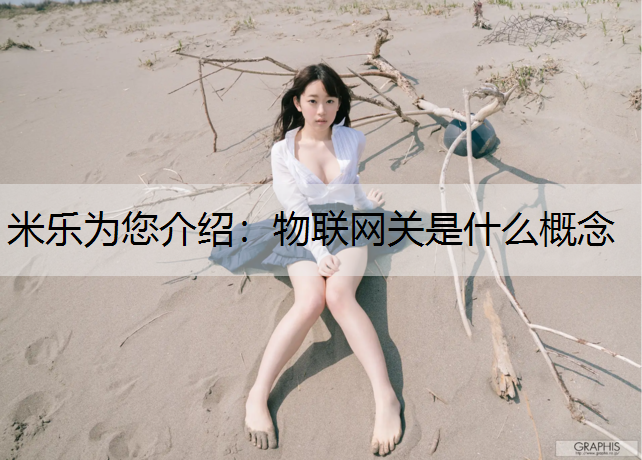 米乐为您介绍：物联网关是什么概念