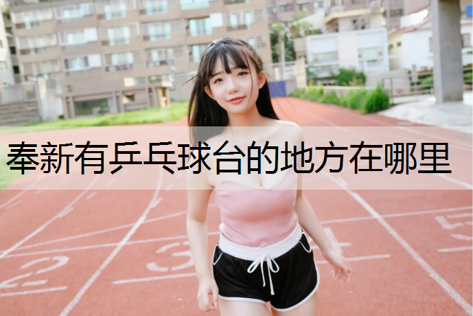 奉新有乒乓球台的地方在哪里