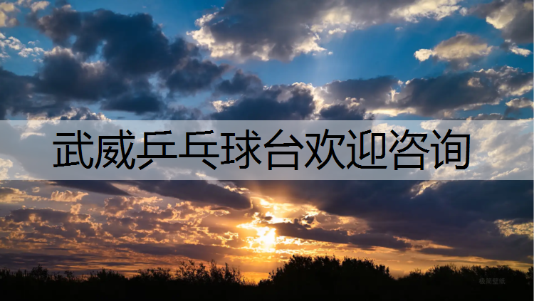<strong>武威乒乓球台欢迎咨询</strong>