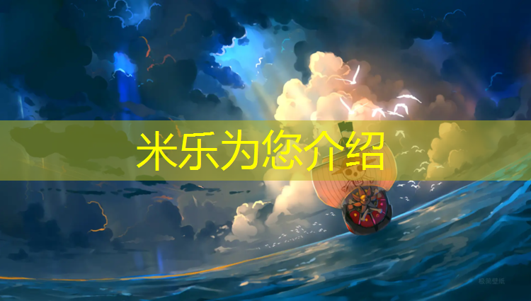 <strong>米乐：少儿跆拳道护具5件</strong>
