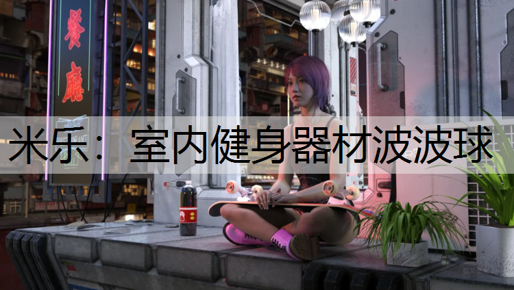 室内健身器材波波球