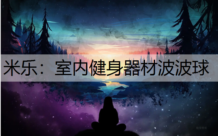 室内健身器材波波球