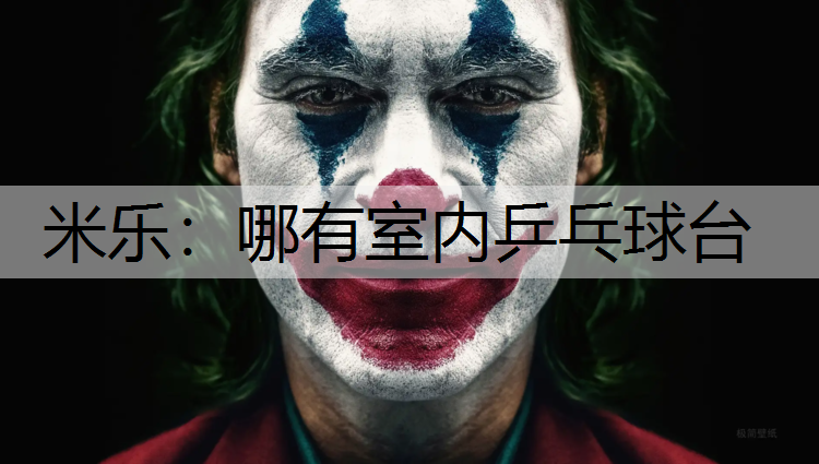 哪有室内乒乓球台