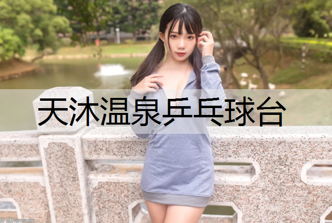 天沐温泉乒乓球台